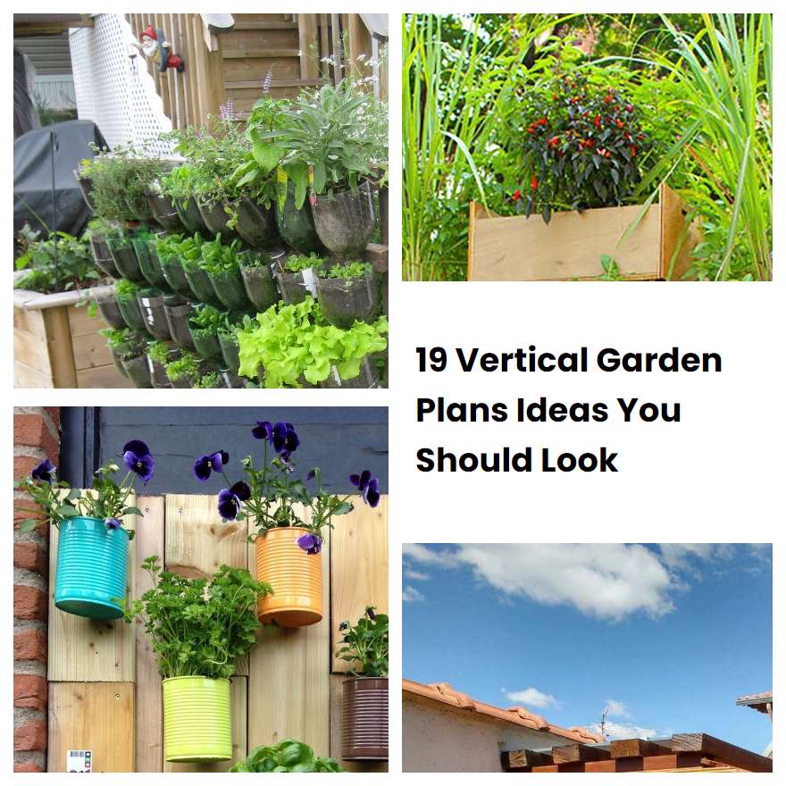 19 Vertical Garden Plans Ideas You Should Look | SharonSable