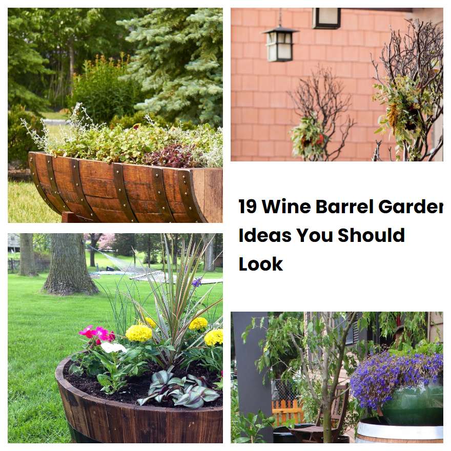 19 Wine Barrel Garden Ideas You Should Look | SharonSable