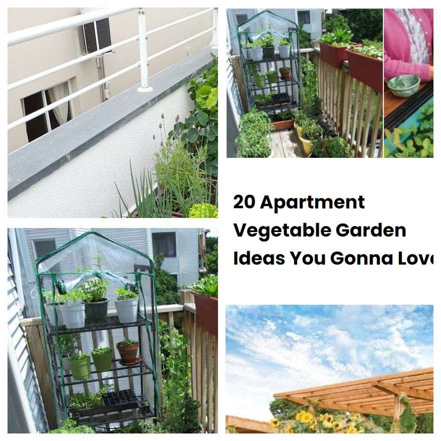 Small Apartment Vegetable Garden: Grow Your Own Fresh Produce in Limited Space