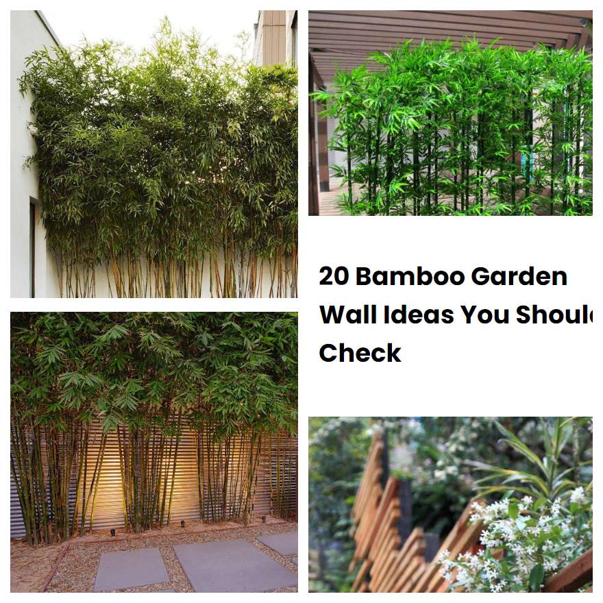 20 Bamboo Garden Wall Ideas You Should Check | SharonSable