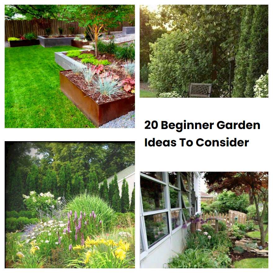 20 Beginner Garden Ideas To Consider | SharonSable