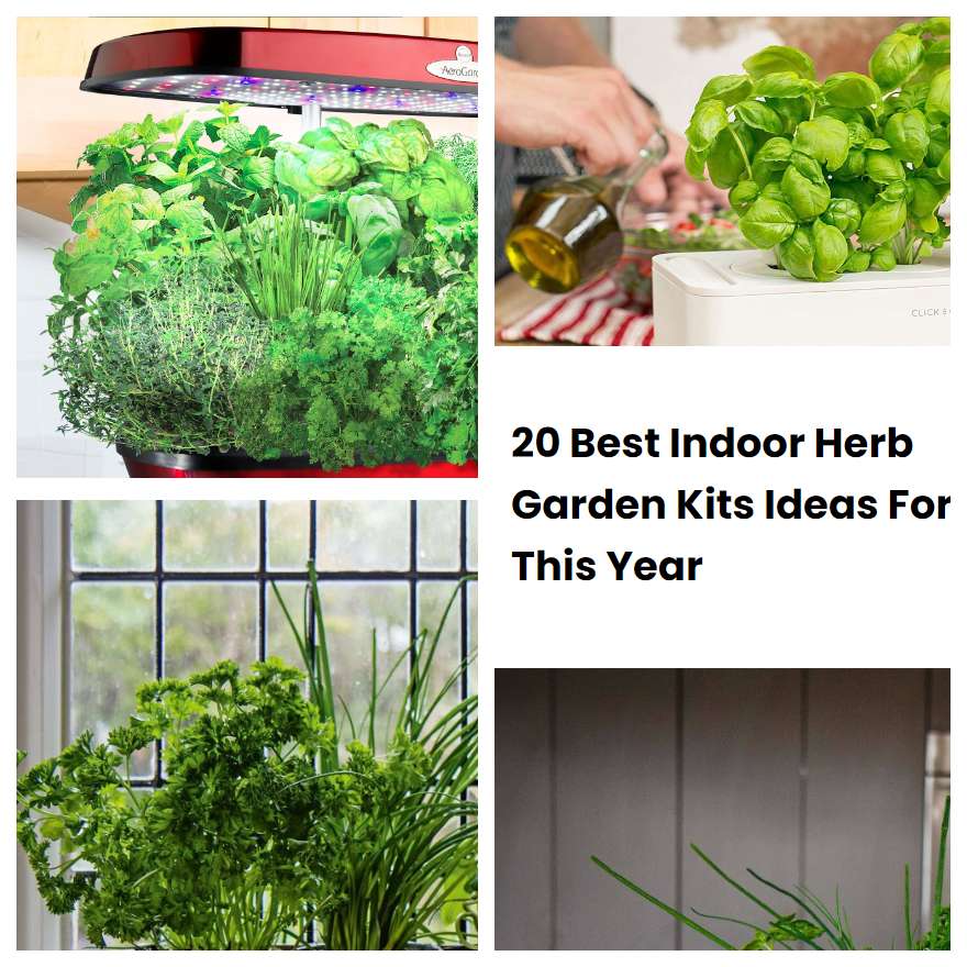 Best Indoor Herb Garden Kits Ideas For This Year Sharonsable