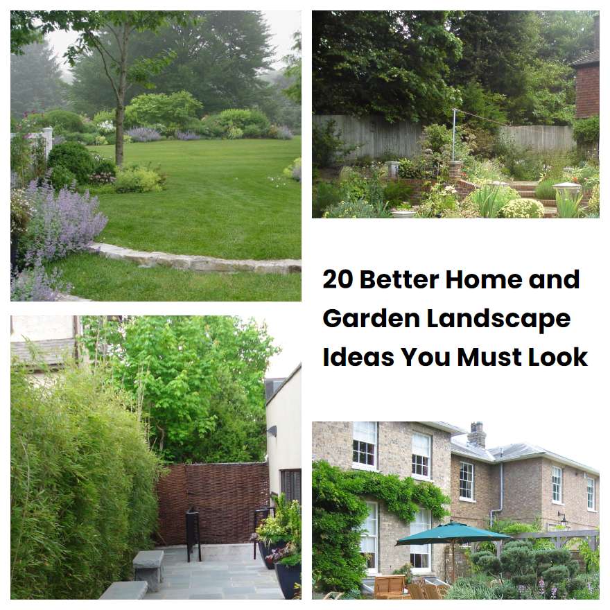 20 Better Home and Garden Landscape Ideas You Must Look | SharonSable