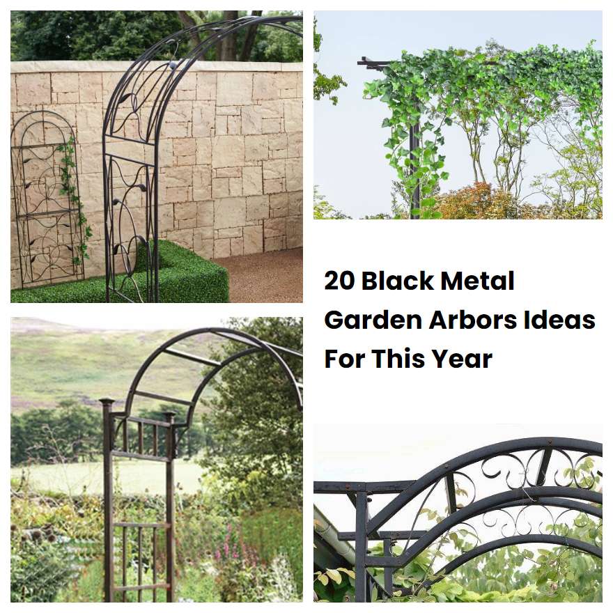 20 Black Metal Garden Arbors Ideas For This Year Sharonsable