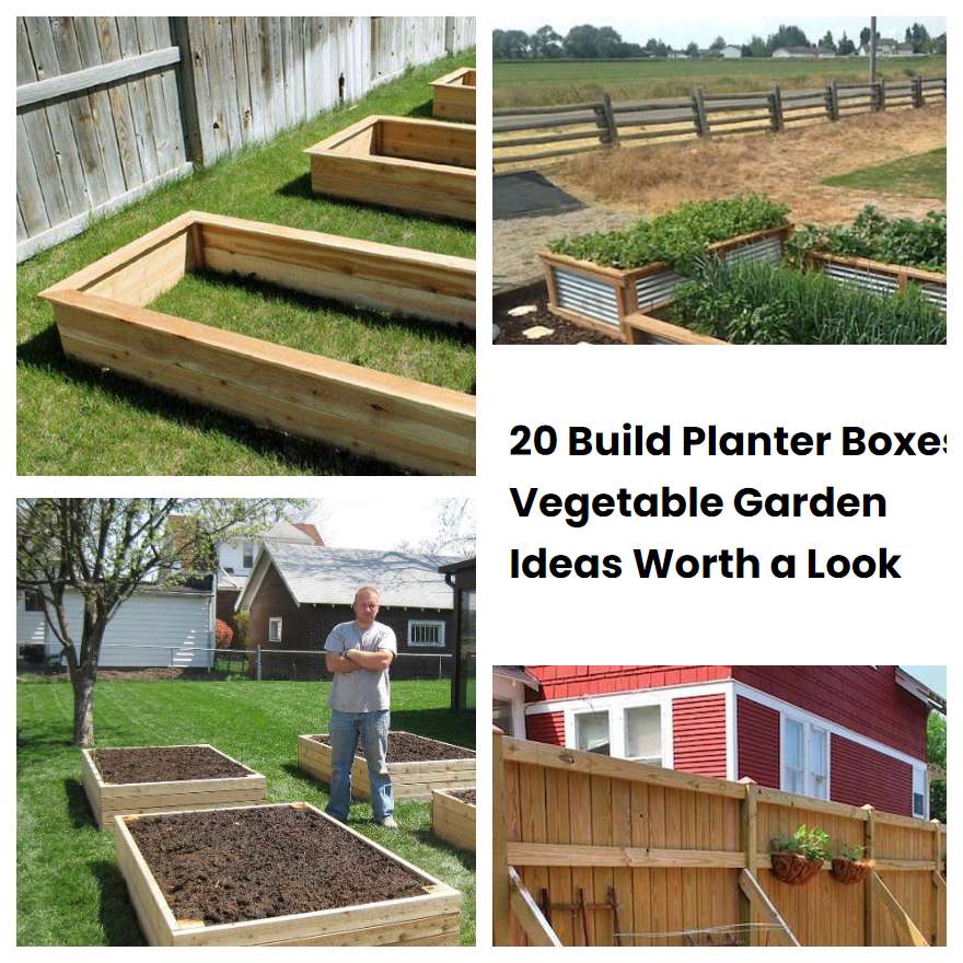 20 Build Planter Boxes Vegetable Garden Ideas Worth a Look