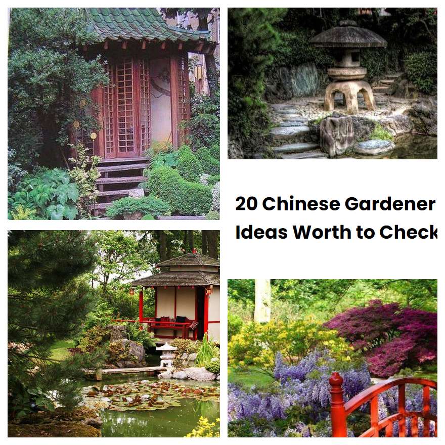 20 Chinese Gardener Ideas Worth To Check SharonSable   20 Chinese Gardener Ideas Worth To Check 