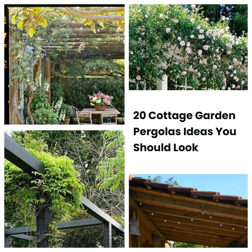 20 Cottage Garden Pergolas Ideas You Should Look | SharonSable