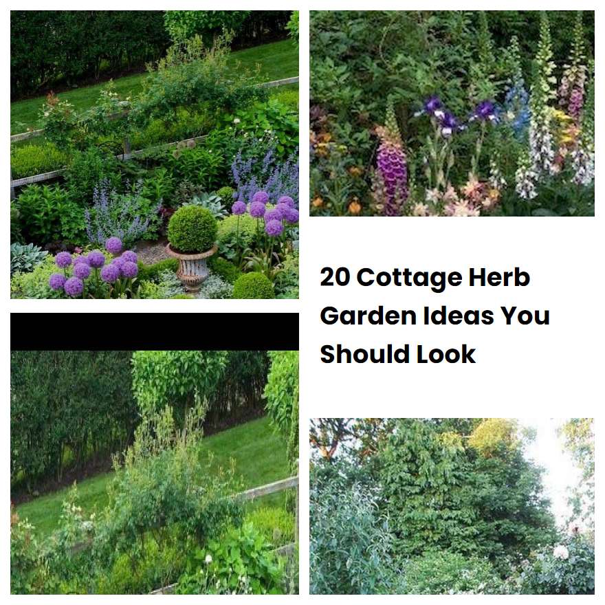 20 Cottage Herb Garden Ideas You Should Look | SharonSable