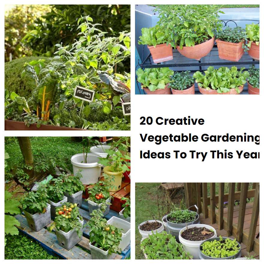 20 Creative Vegetable Gardening Ideas To Try This Year