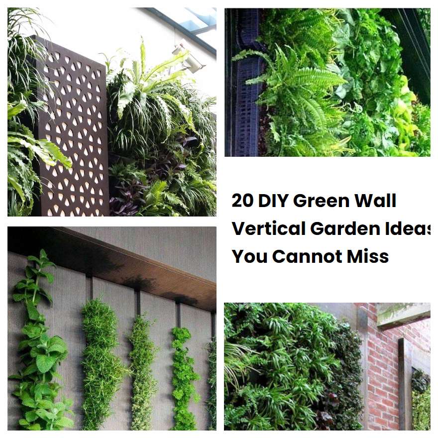 DIY Green Wall
 20 DIY Green Wall Vertical Garden Ideas You Cannot Miss