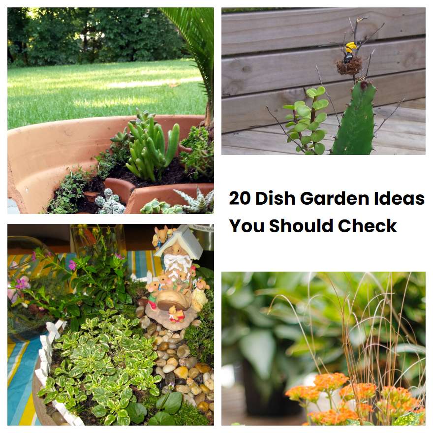 Dish Garden Ideas You Should Check SharonSable