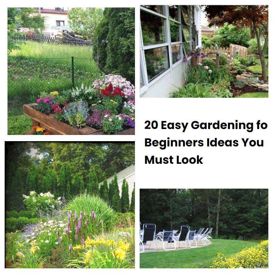 20 Easy Gardening for Beginners Ideas You Must Look | SharonSable