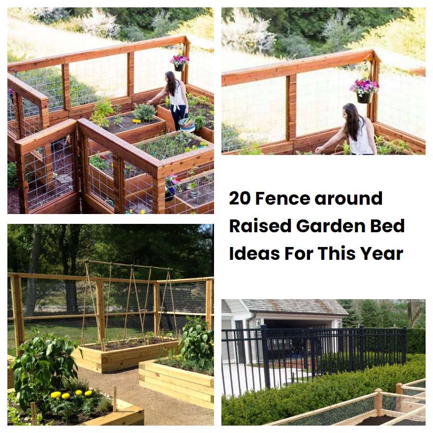 20 Fence around Raised Garden Bed Ideas For This Year | SharonSable