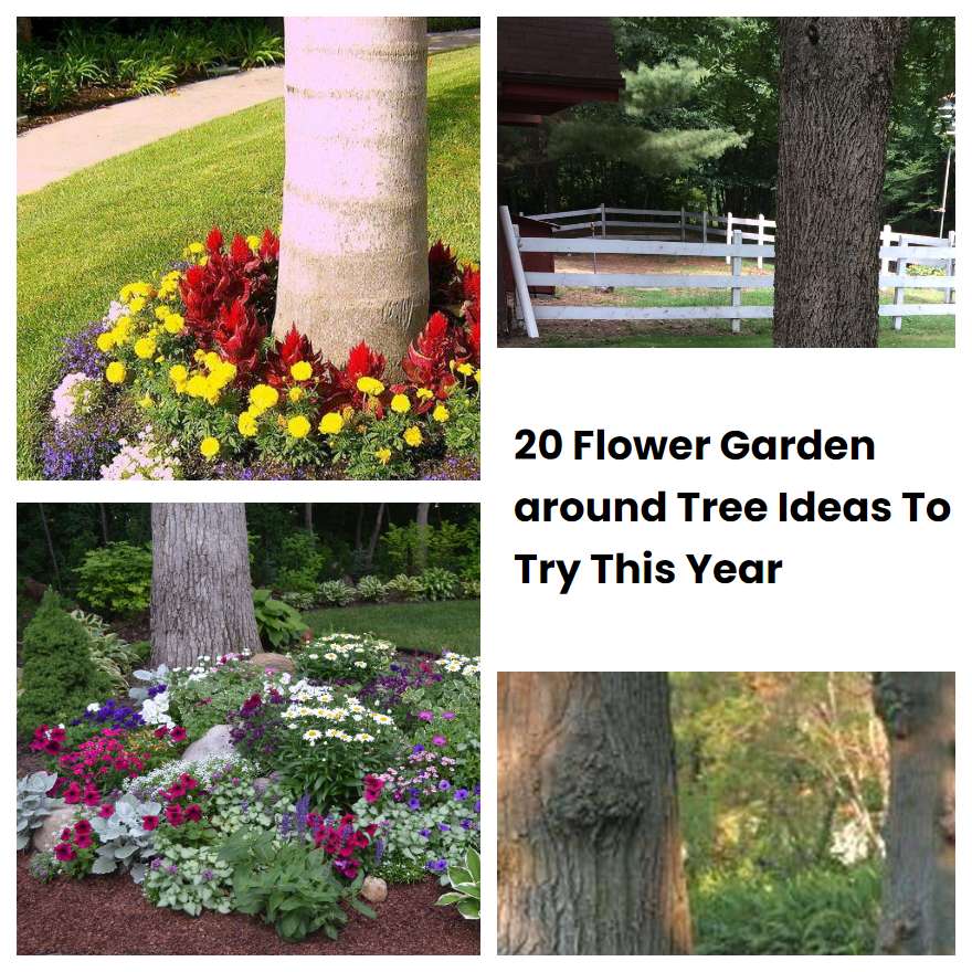 20 Flower Garden Around Tree Ideas To Try This Year Sharonsable