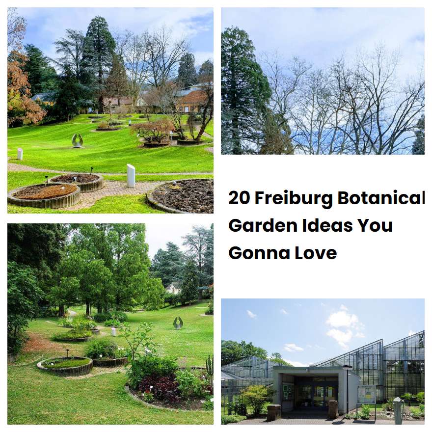 20 Freiburg Botanical Garden Ideas You Gonna Love