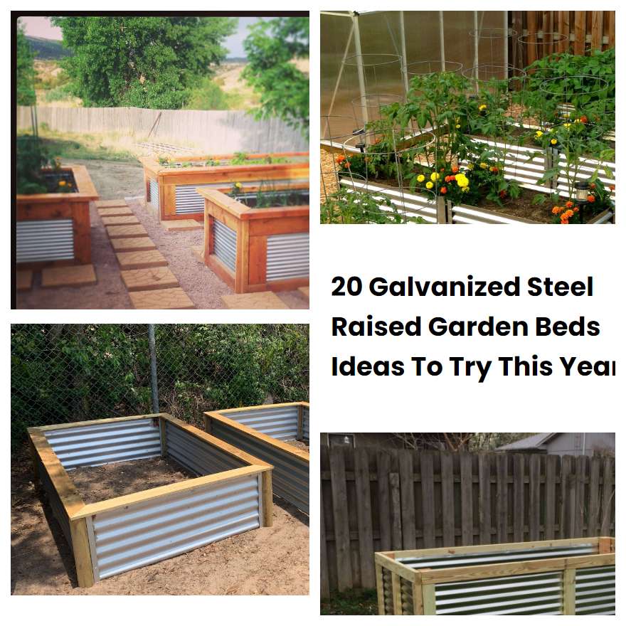 20 Galvanized Steel Raised Garden Beds Ideas To Try This Year SharonSable