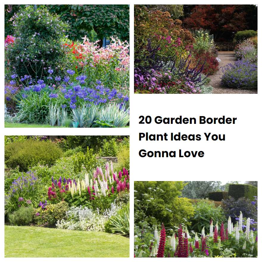 20 Garden Border Plant Ideas You Gonna Love Sharonsable 0513