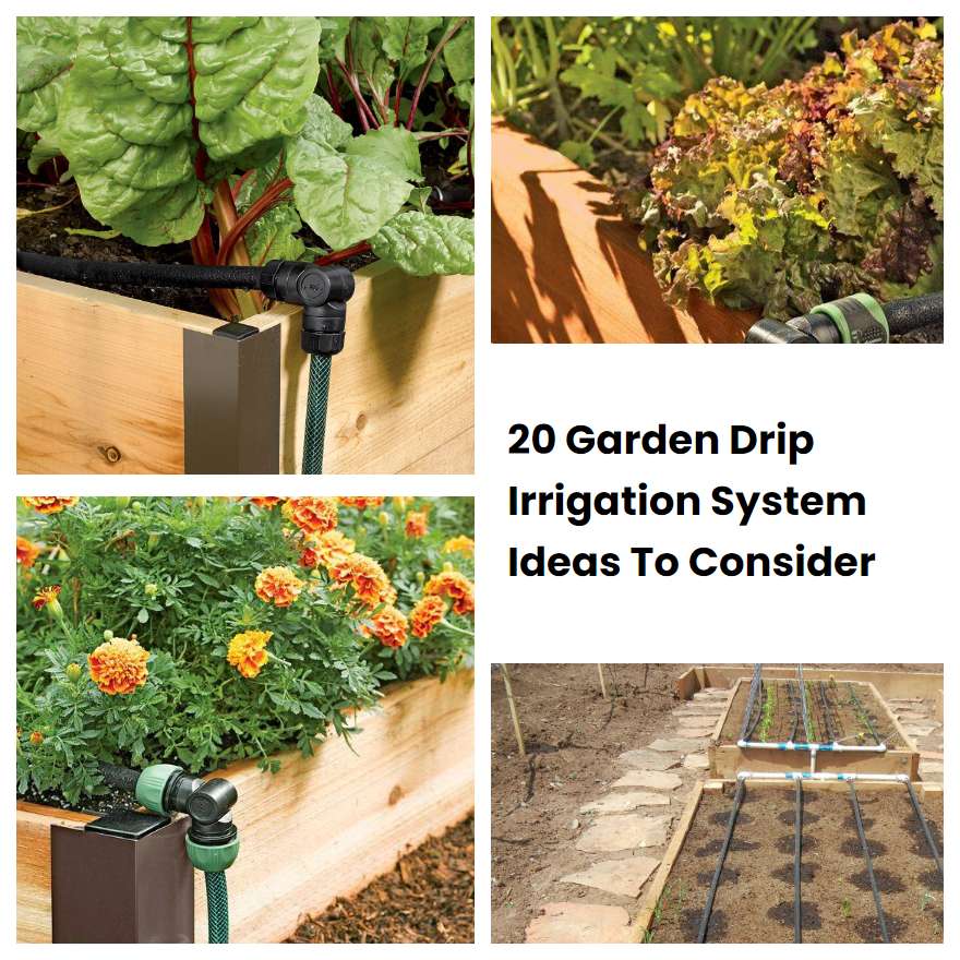 20 Garden Drip Irrigation System Ideas To Consider | SharonSable