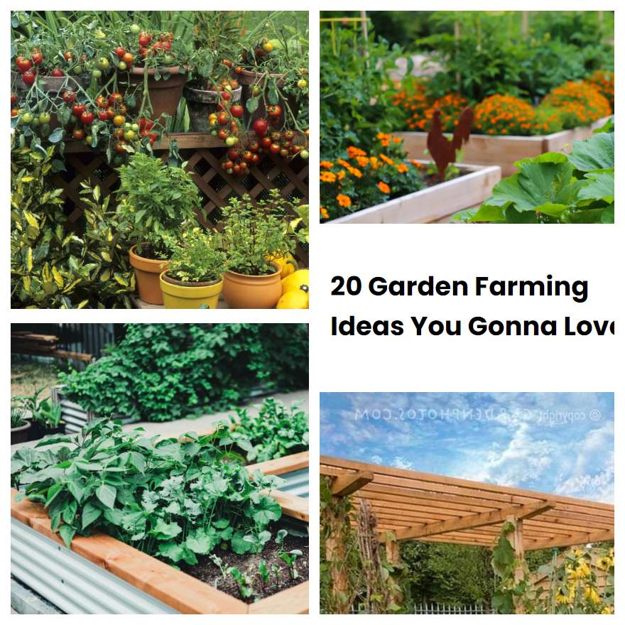 20 Garden Farming Ideas You Gonna Love