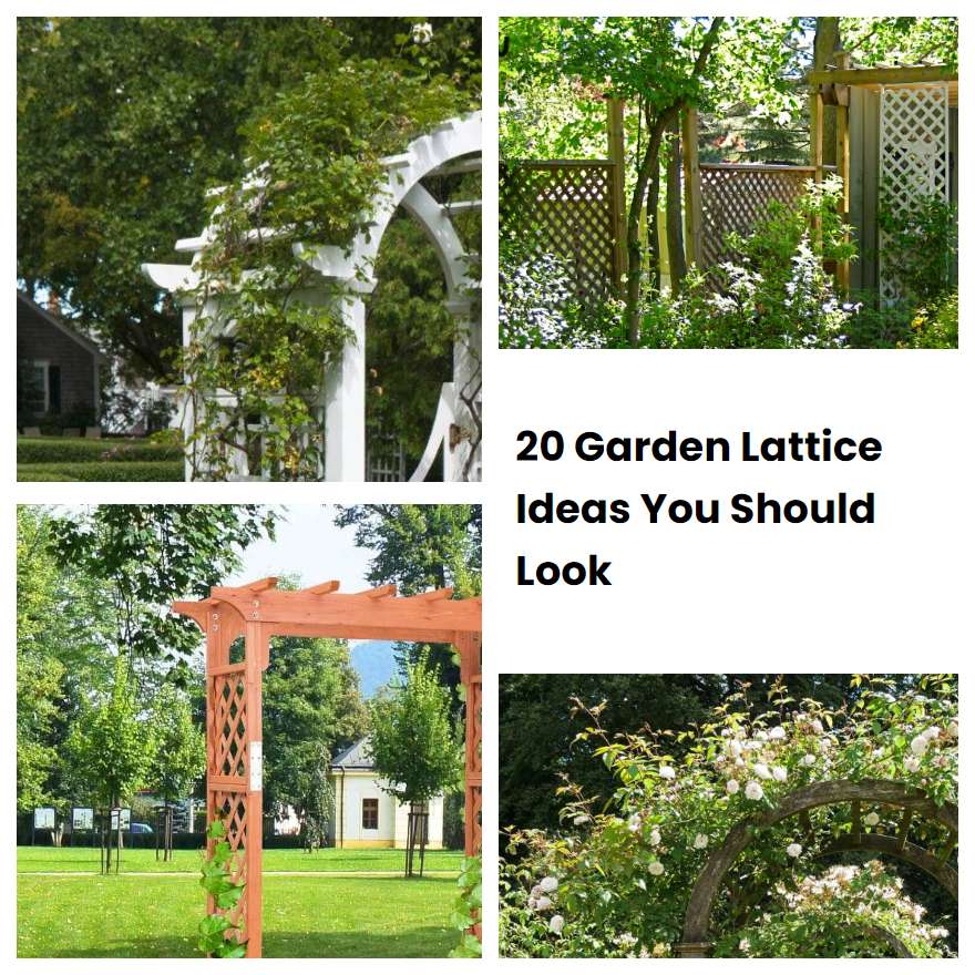 20 Garden Lattice Ideas You Should Look