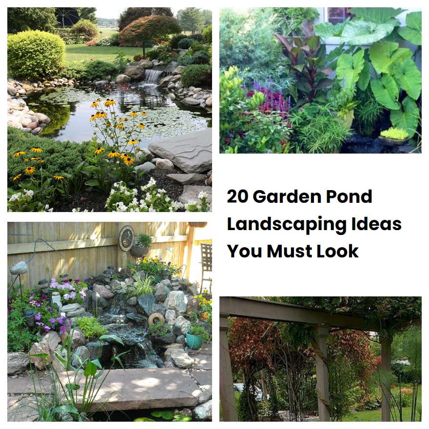 20 Garden Pond Landscaping Ideas You Must Look | SharonSable