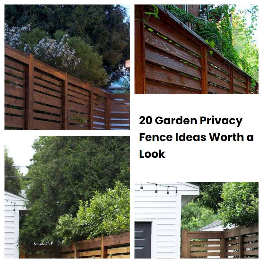 20 Garden Privacy Fence Ideas Worth A Look Sharonsable 1482