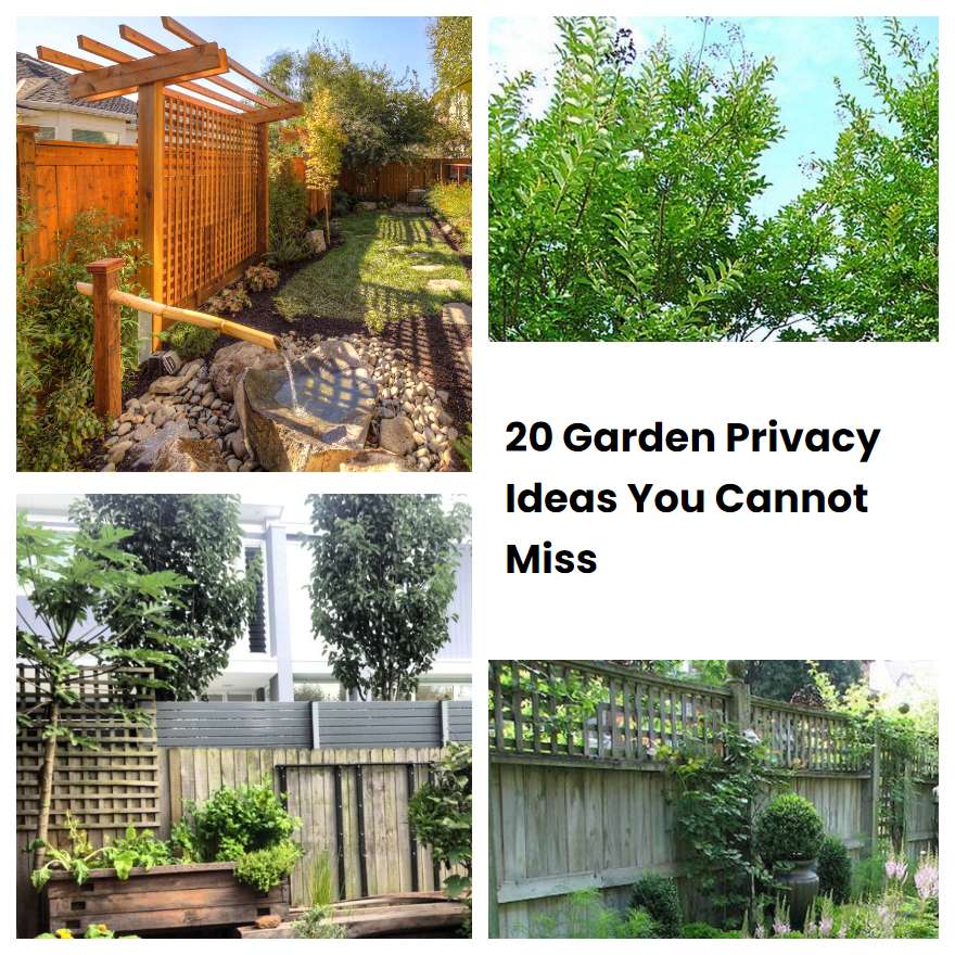 20-garden-privacy-ideas-you-cannot-miss-sharonsable