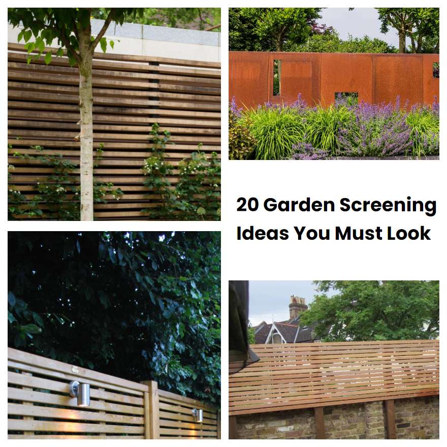 20 Garden Screening Ideas You Must Look