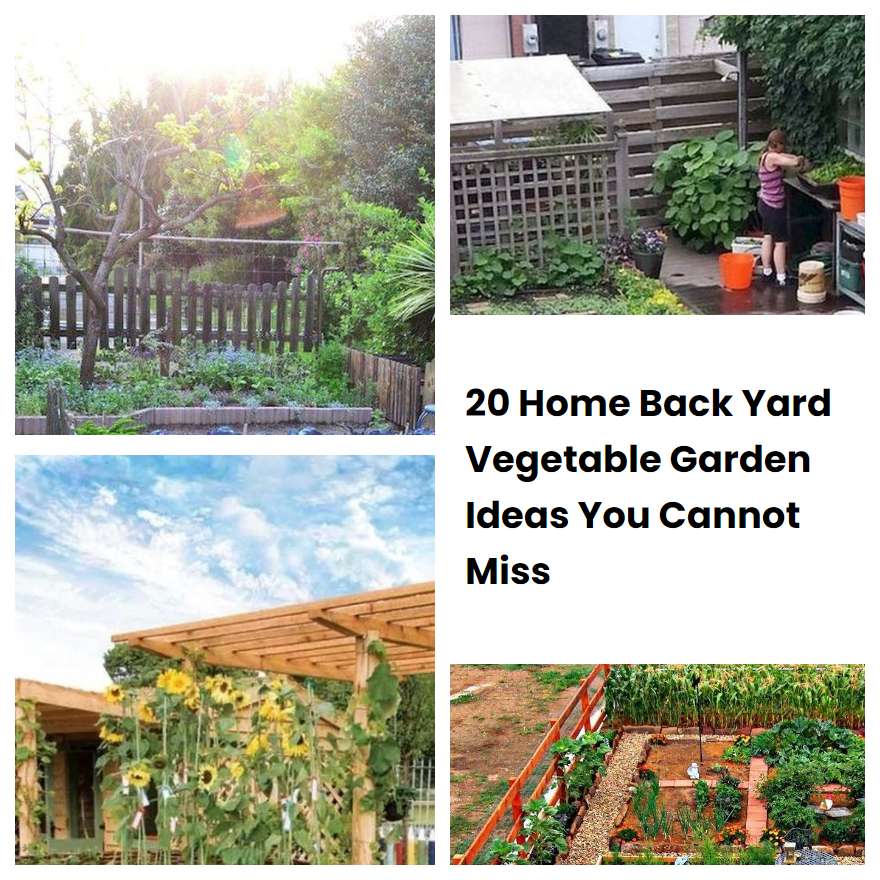 20 Home Back Yard Vegetable Garden Ideas You Cannot Miss | SharonSable