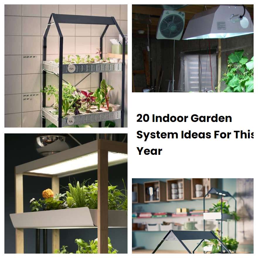 20 Indoor Garden System Ideas For This Year