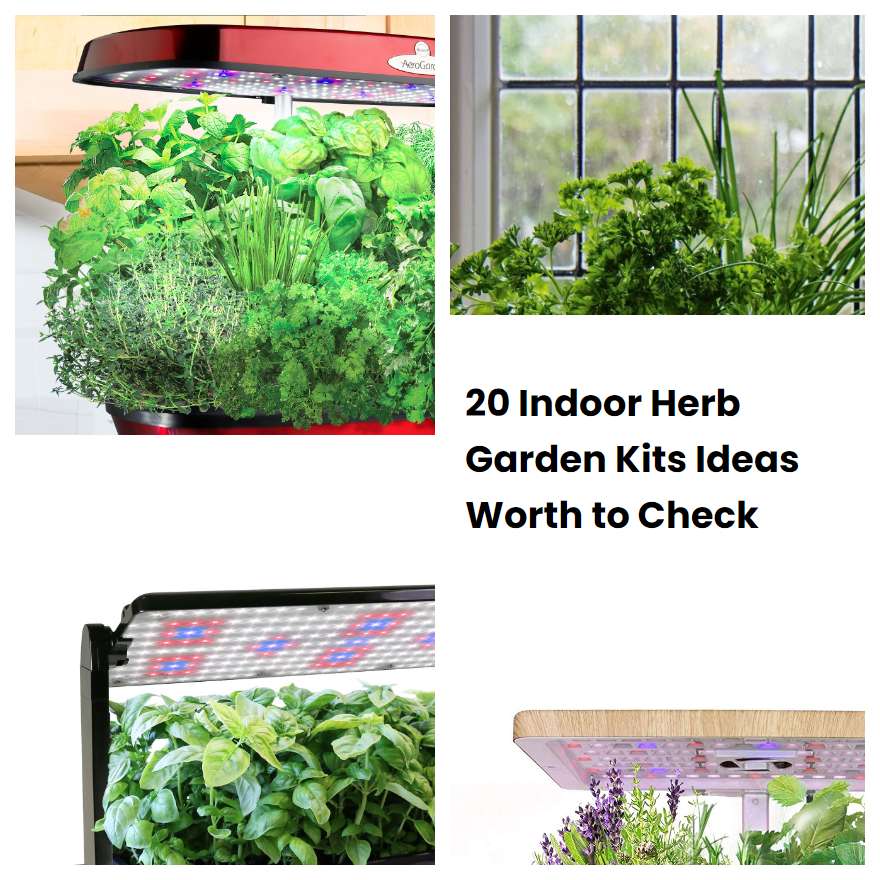 20 Indoor Herb Garden Kits Ideas Worth to Check | SharonSable