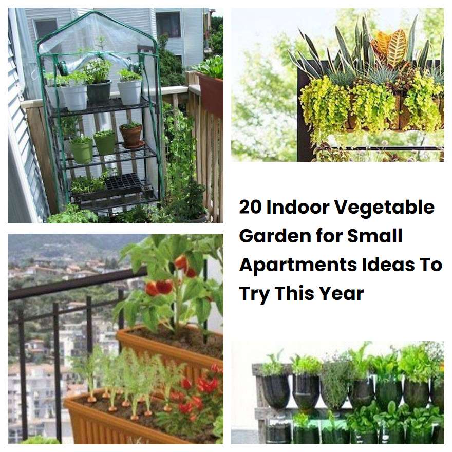 Small Apartment Veggie Garden: Growing Your Own Food in Limited Space