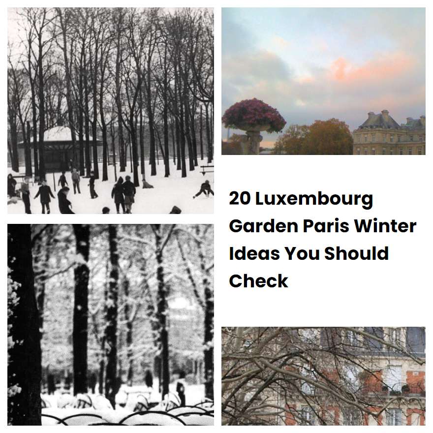 20 Luxembourg Garden Paris Winter Ideas You Should Check