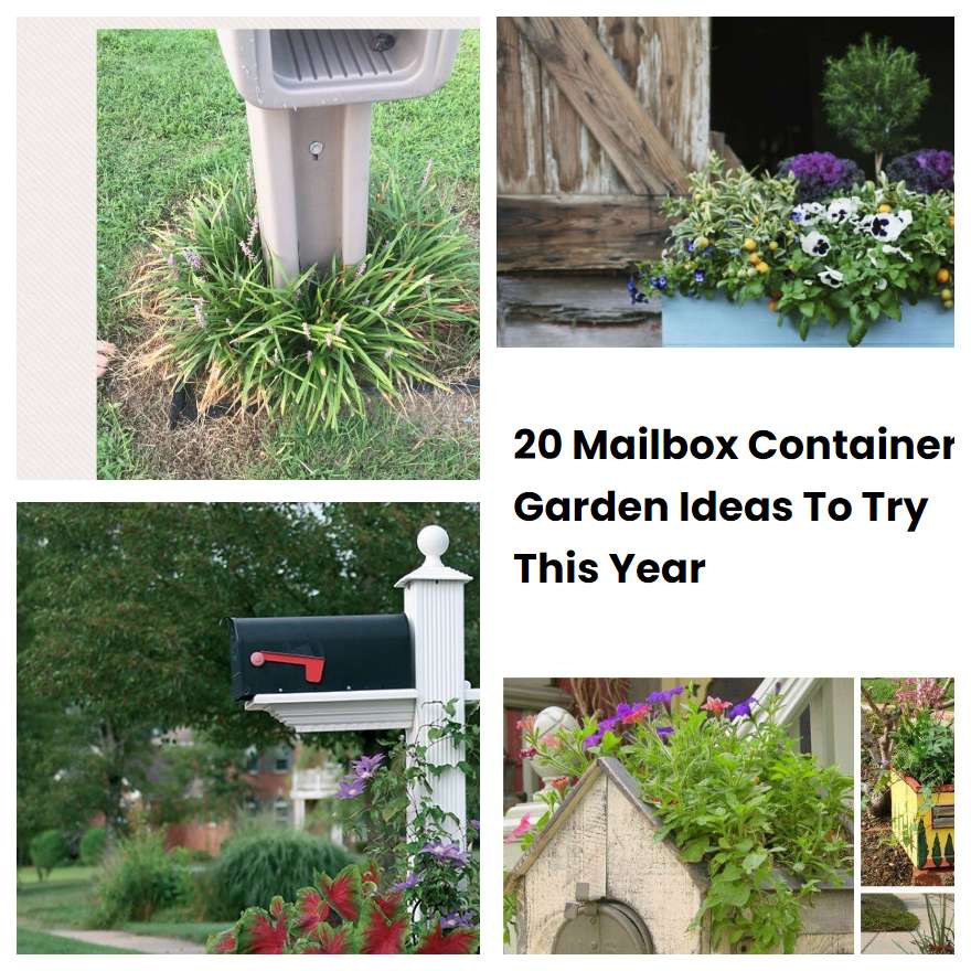 20 Mailbox Container Garden Ideas To Try This Year | SharonSable