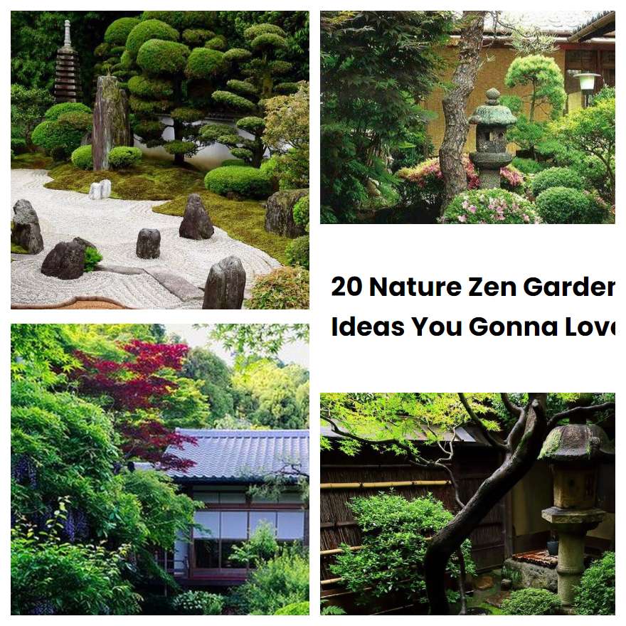 20 Nature Zen Garden Ideas You Gonna Love | SharonSable