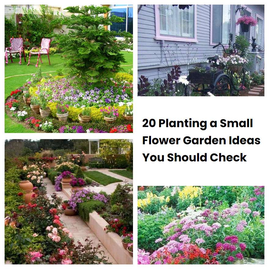 20 Planting a Small Flower Garden Ideas You Should Check | SharonSable