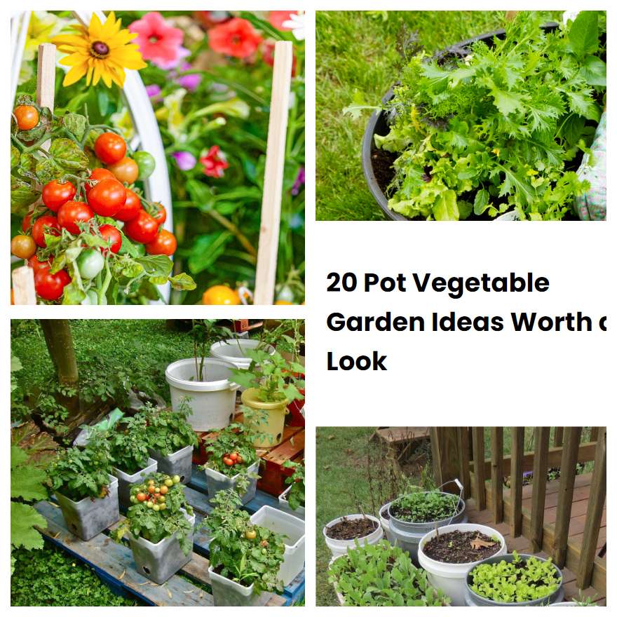 20 Pot Vegetable Garden Ideas Worth a Look | SharonSable