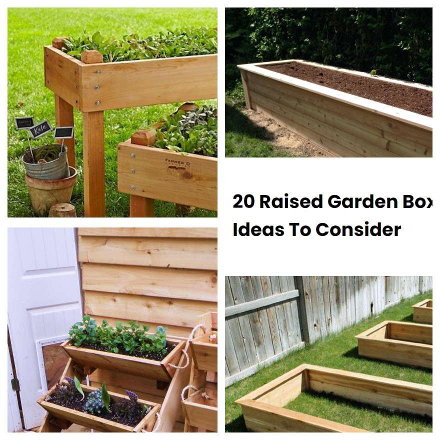 20 Raised Garden Box Ideas To Consider | SharonSable