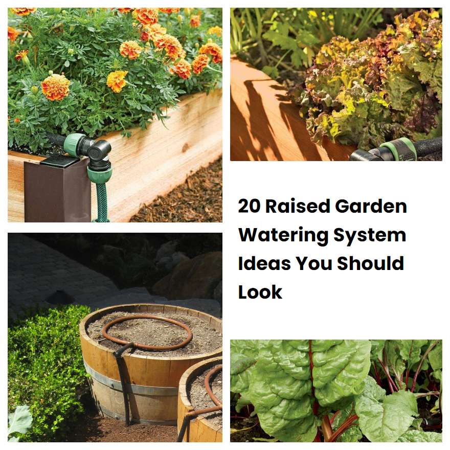 20 Raised Garden Watering System Ideas You Should Look Sharonsable