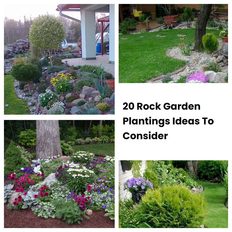 20 Rock Garden Plantings Ideas To Consider | SharonSable