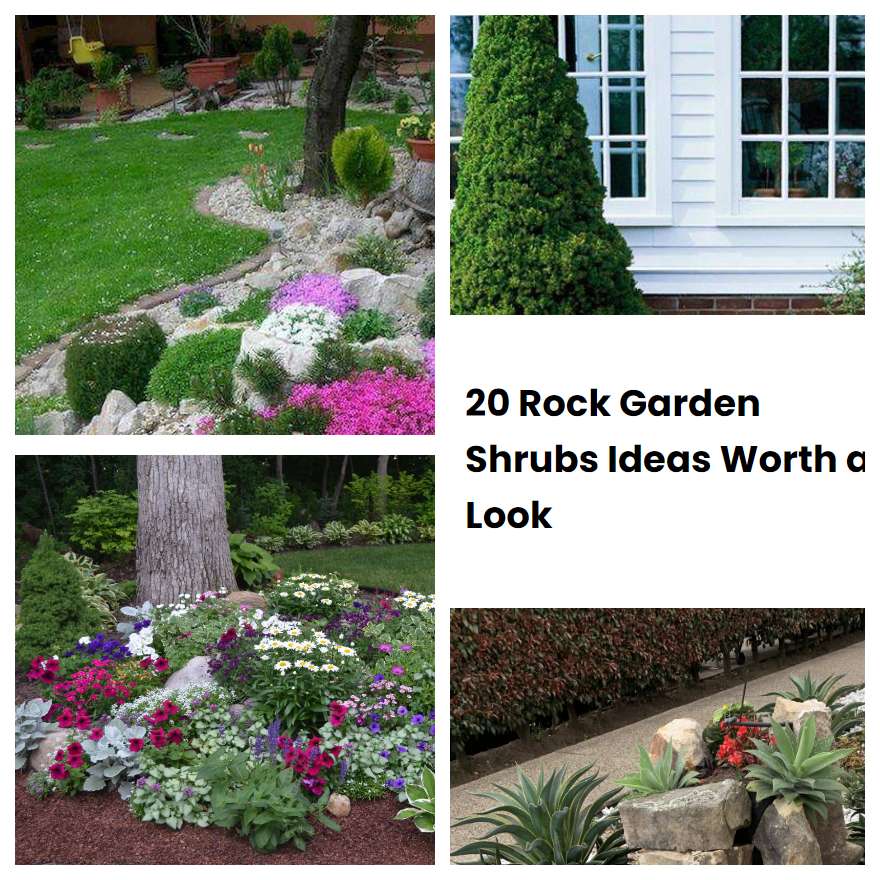 20 Rock Garden Shrubs Ideas Worth A Look Sharonsable