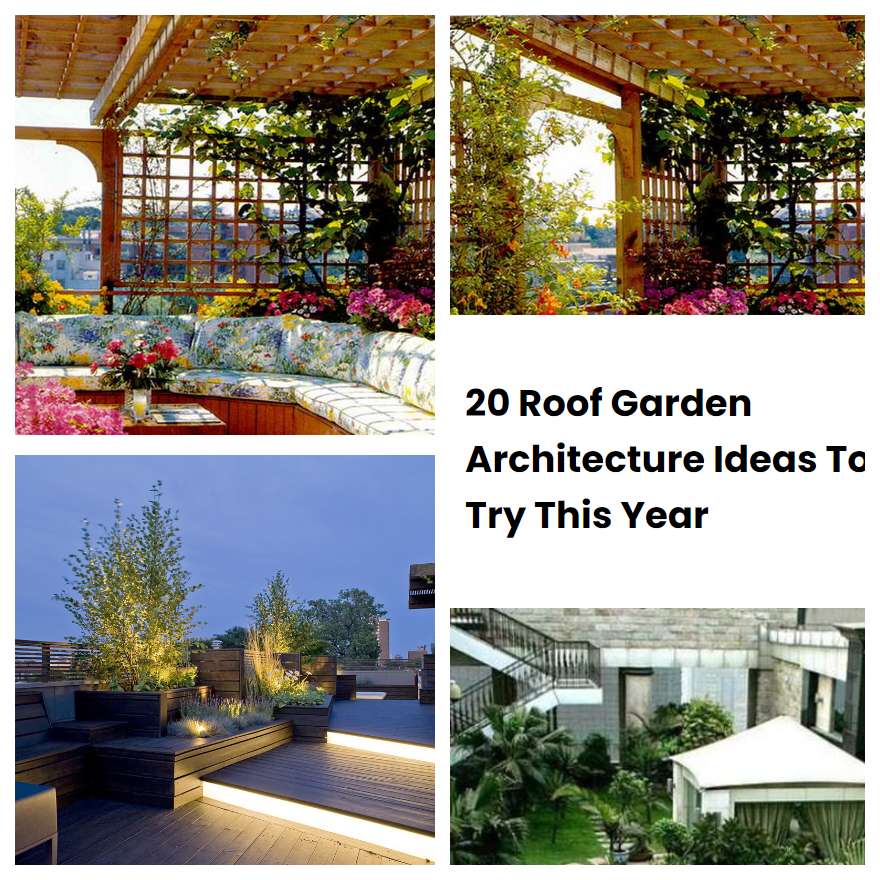 20 Roof Garden Architecture Ideas To Try This Year