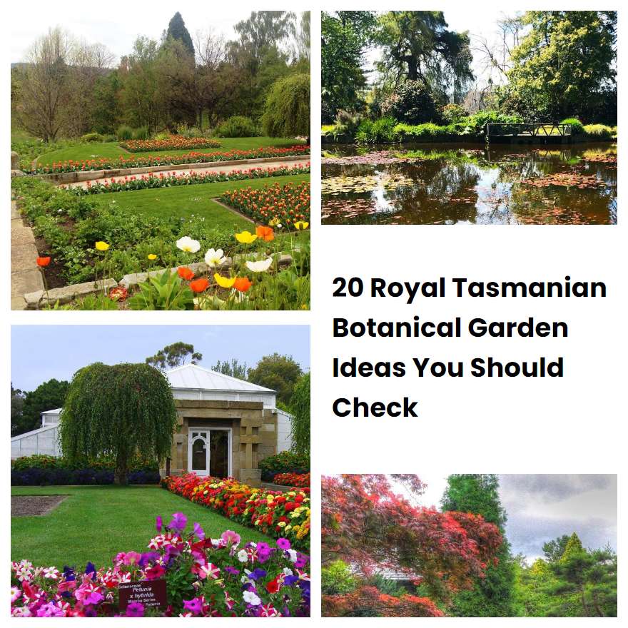 20 Royal Tasmanian Botanical Garden Ideas You Should Check | SharonSable