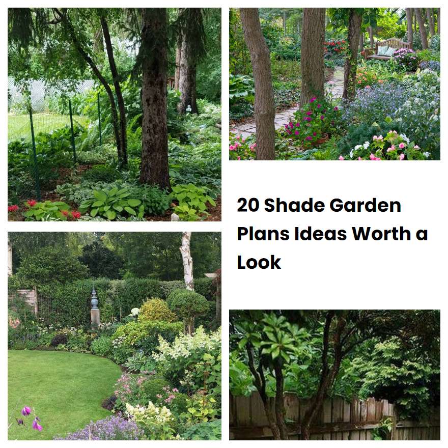 20 Shade Garden Plans Ideas Worth a Look | SharonSable