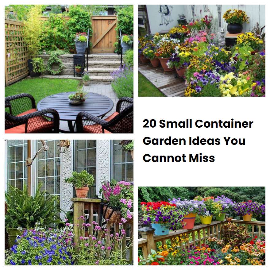 20-small-container-garden-ideas-you-cannot-miss-sharonsable