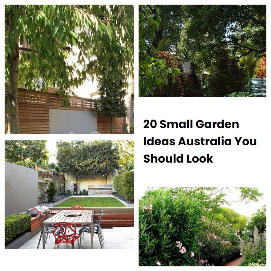 20 Small Garden Ideas Australia You Should Look | SharonSable