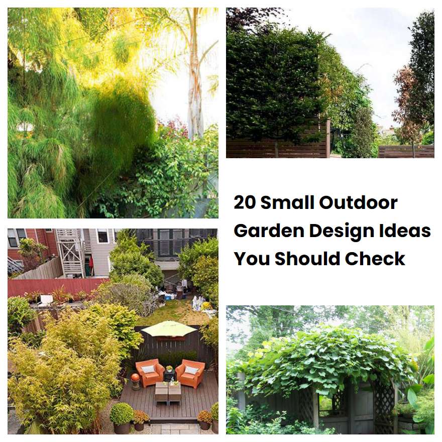 20 Small Outdoor Garden Design Ideas You Should Check | SharonSable