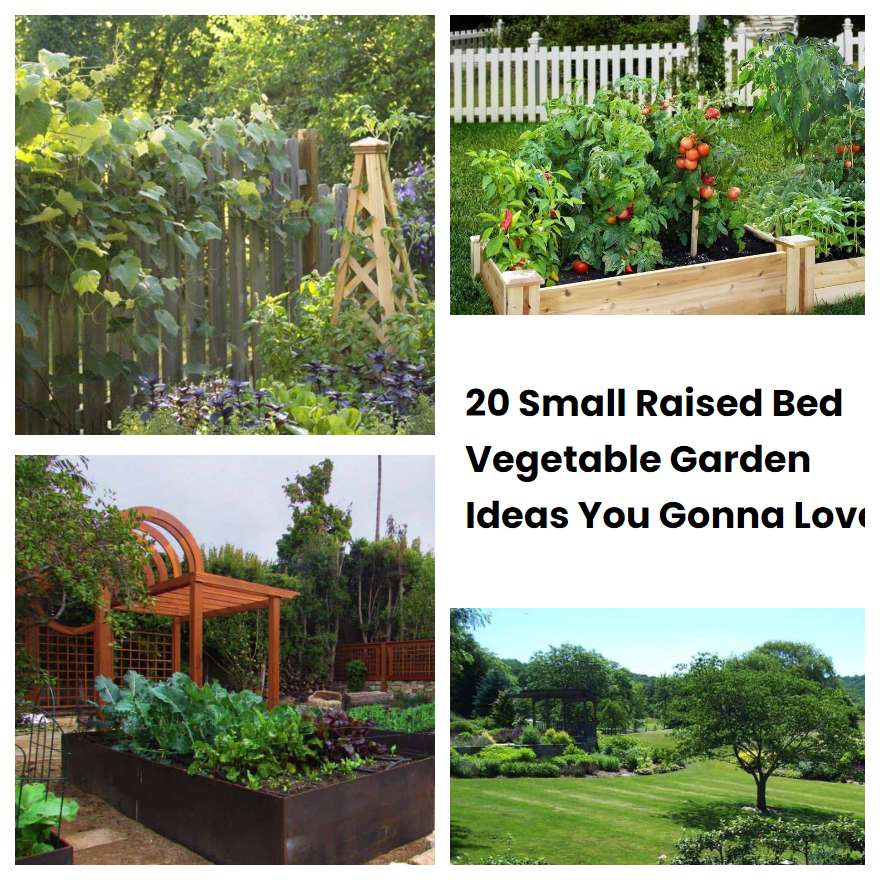 20 Small Raised Bed Vegetable Garden Ideas You Gonna Love | SharonSable