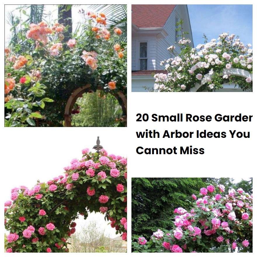 20 Small Rose Garden with Arbor Ideas You Cannot Miss | SharonSable