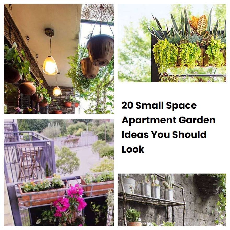 Small Apartment Garden Ideas